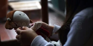 El Gobierno quiere bajar la edad de imputabilidad, pero desatiende a las infancias