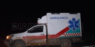 Siniestro Vial: Una ambulancia chocó tres animales vacunos en la Ruta Nacional 81