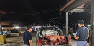 Detectaron más de 450 kilos de carne trasladados de manera irregular