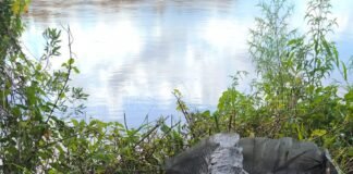 La Policía secuestró marihuana valuada en unos 53 millones de pesos