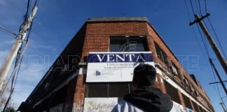 La motosierra contra la producción y trabajo