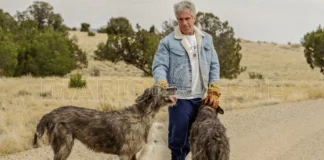 Los archivos de Epstein, entre la verdad y el encubrimiento