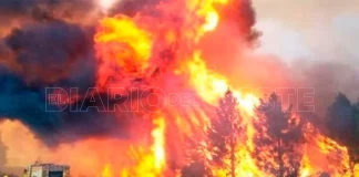 Los incendios en la Patagonia se cuelan en la agenda del Congreso