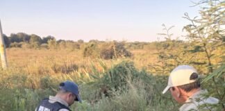 Capturaron a dos abigeos y secuestraron más de 50 kilos de carne vacuna