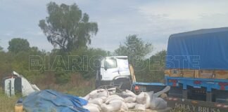 De la verificación final se hallaron cinco cuerpos sin vida en el utilitario del choque fatal en la Ruta Nacional Nº 81