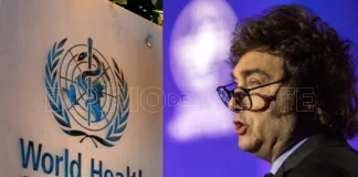 La escandalosa salida argentina de la OMS en medio del brote de hantavirus