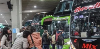 Milei prioriza el ajuste fiscal sobre el derecho al transporte de las personas con discapacidad