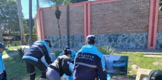 Secuestraron mercaderías de procedencia extranjera sin aval aduanero