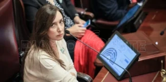 Villarruel profundizó la interna libertaria y apuntó contra Bullrich, Petri y Lemoine