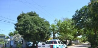 Detectaron que una mujer extranjera ingresó al país de forma irregular