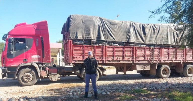 La Policía secuestró un camión con 28.000 kilos de carbón vegetal
