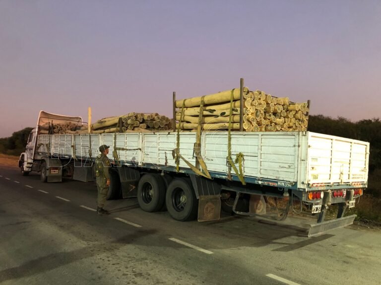 GNA: Interviene transporte ilegal de palo santo