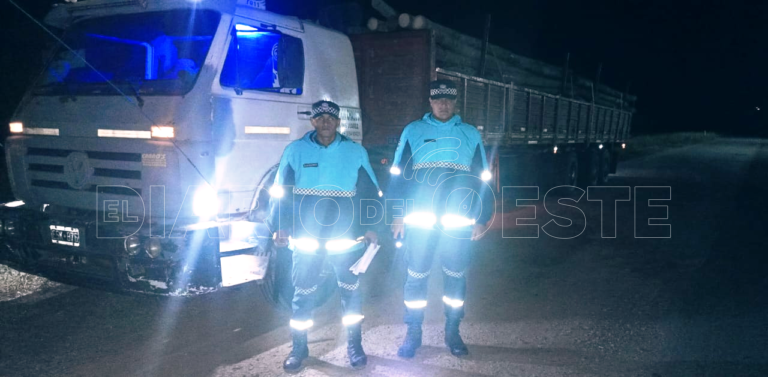 La Policía secuestró un camión con 28.000 kilos de rollos de “palma viva”