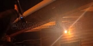 La Policía secuestró seis plantines de marihuana tras intervenir por un inconveniente de pareja