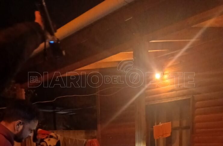 La Policía secuestró seis plantines de marihuana tras intervenir por un inconveniente de pareja