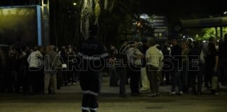 Más de 76.000 personas disfrutaron de la Fiesta Nacional del Pomelo bajo un amplio dispositivo de seguridad