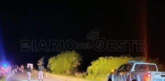 Un motociclista falleció al colisionar a un animal silvestre