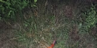 Las Lomitas: La Policía secuestró una motocicleta y otros objetos